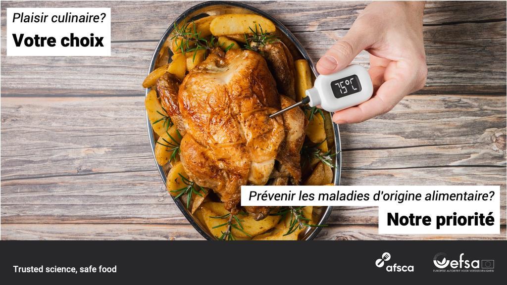 ad_EFSA-Safe-toEat-key-visuals-Powerpoint-Belgium FR-1920x1080_poisoning.jpeg